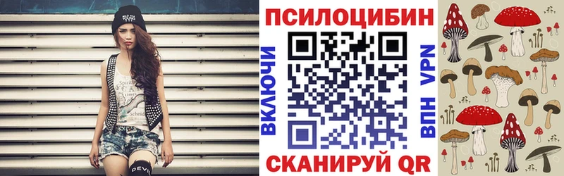 Псилоцибиновые грибы Cubensis  Скопин 